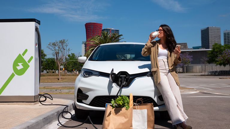 What are the most important features a online electric vehicle selling portal should have